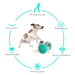 Alimentador Interativo para Cães - Imagem 3