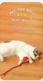 Bola Interativa para Gatos - Imagem 17