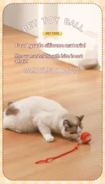 Bola Interativa para Gatos - Imagem 21