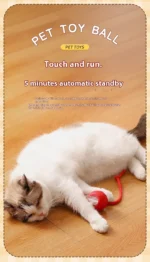 Bola Interativa para Gatos - Imagem 25